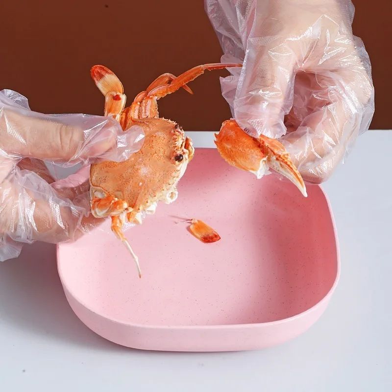 10Pcs Multi-function Spit Bone Plate Set Household Food Grade Plastic Elliptical Plate Set