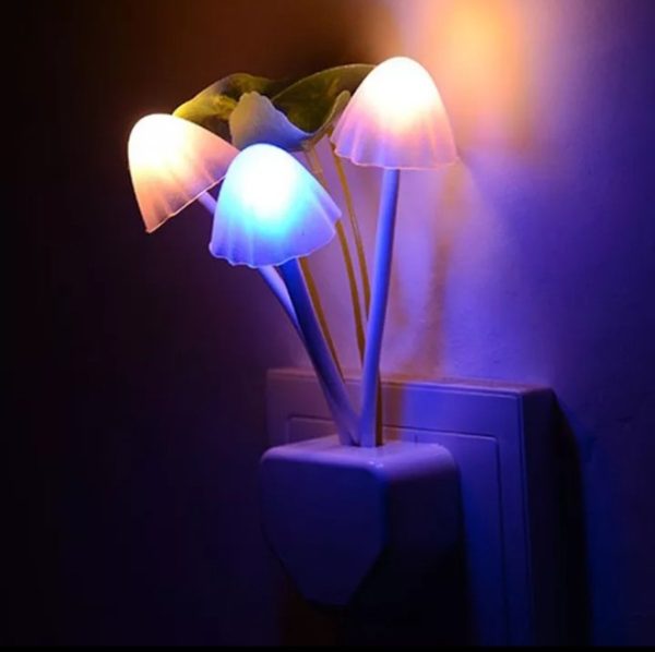14 august deal pack of 2 - Black Hair Dexe Hair Building Fibers 22g &amp; Mushroom Led Night Light