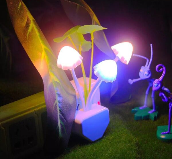 14 august deal pack of 2 - Black Hair Dexe Hair Building Fibers 22g &amp; Mushroom Led Night Light